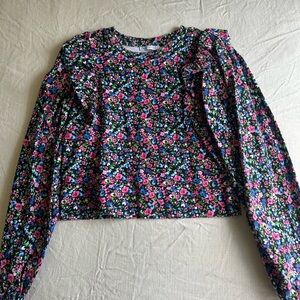 Zara Pink and Blue Puff Sleeve Ruffled Crop Blouse